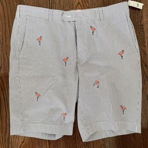 Brooks Brothers Men’s Shorts (38 waist)
